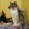 Отзыв от Софья Федорова